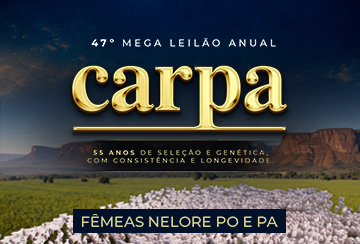 47º MEGA LEILÃO ANUAL CARPA - FÊMEAS